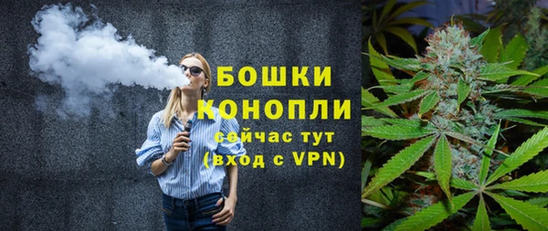 a pvp Аркадак