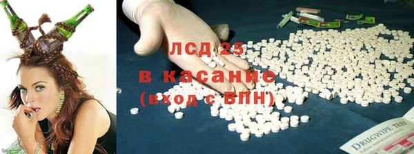 a pvp Аркадак