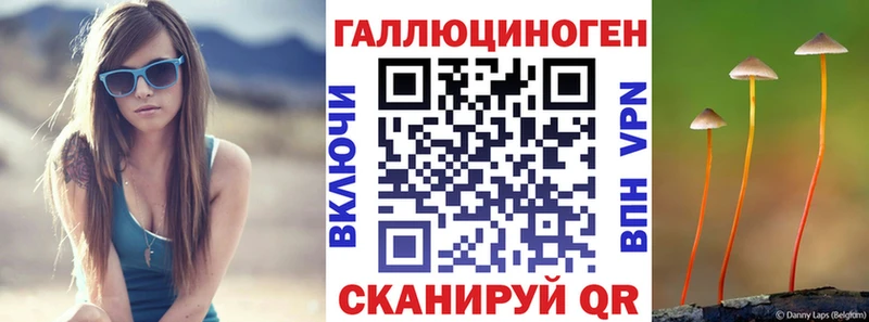 Купить закладки  Нижний Тагил  Псилоцибиновые грибы мицелий 
