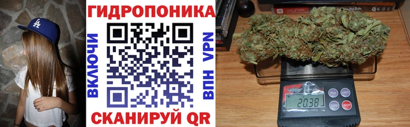 Купить закладки  Нижний Тагил  Конопля индика 